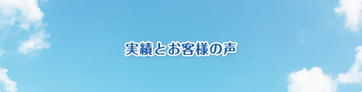 実績とお客様の声