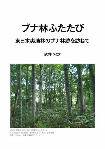 ブナ林ふたたび